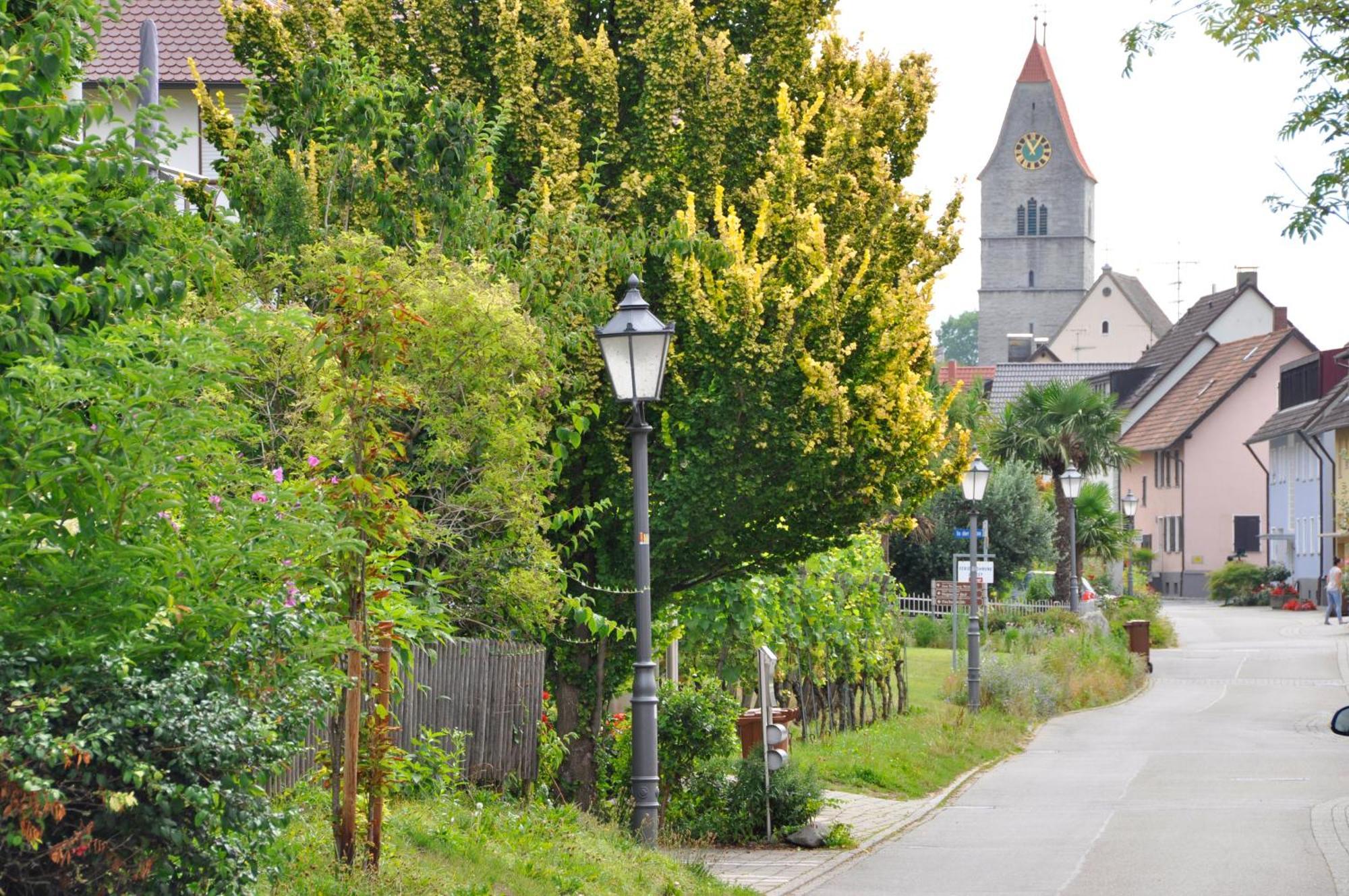 Auszeit Apartamento Hagnau Exterior foto